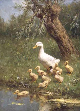 The First Swim