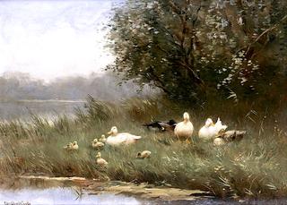 Ducks and Ducklings by the Waterside