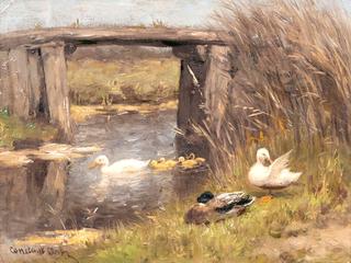 Ducks Under a Bridge