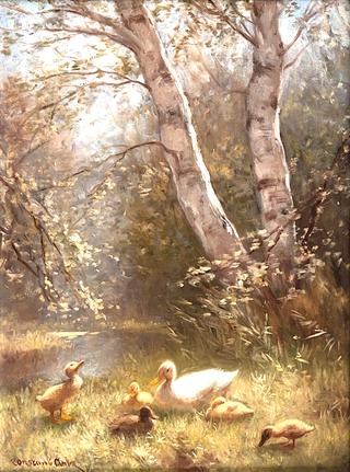 Duck Family Resting Under Birches