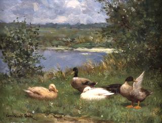 Ducks by a Pond