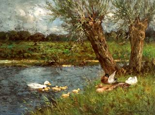 The First Swimming Lesson
