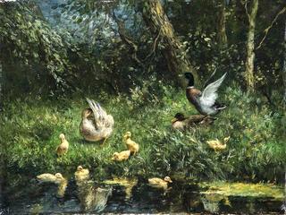 Duck Family on the Pond