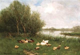 A Brace of Mallards