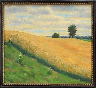 Summer with Grain Fields