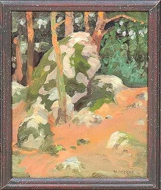 Boulders in Forest