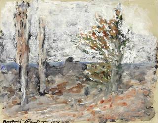 Landscape