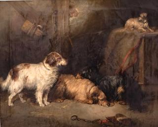 Four Dogs in a Stable