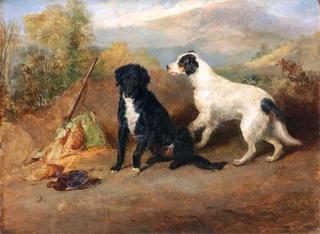 Mr Stott's Favorite Dogs