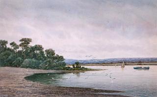 Afternoon in the Bay