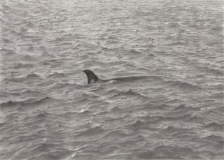 Sea Drawing with Whale