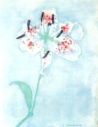 Lily