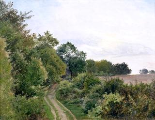 The Wooded Track