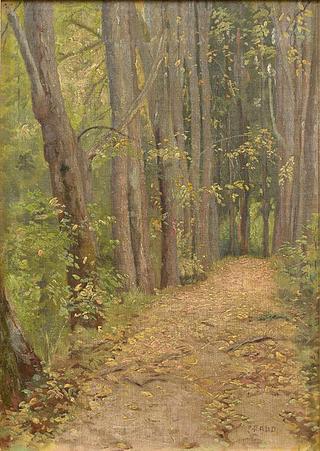 A Road in a Park