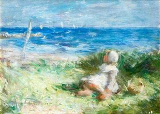 White Sails and Sea Gulls