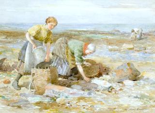 Gathering Whelks