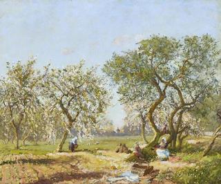 Under the Blossom