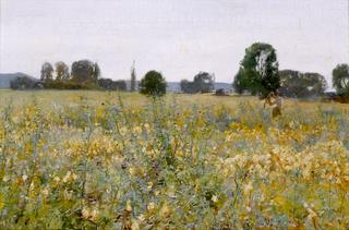 A Summer Landscape