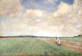 Figures in the Fields