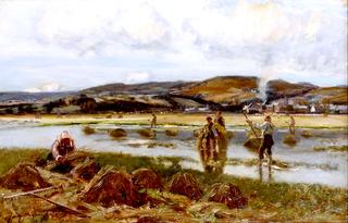 Reed Gatherers