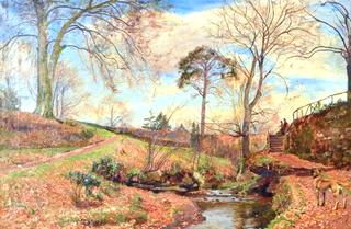 Country Scene