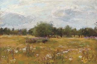 A Summer Meadow