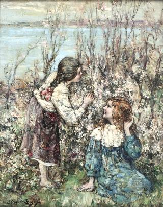 May Blossom