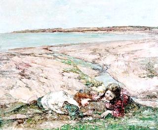 Catching Butterflied, Brighouse Bay