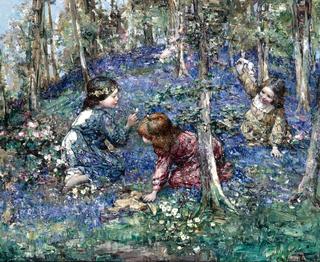 The Bluebell Wood
