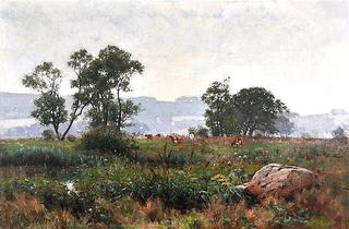 Morning Mist in the Meadow