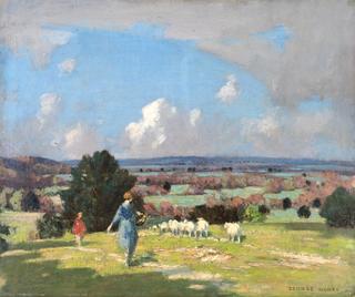On the South Downs