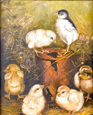 Seven Chicks and a Tin Can