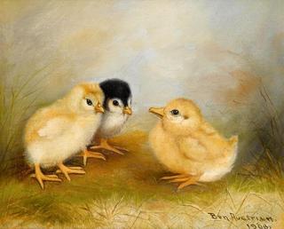 Chick Talk