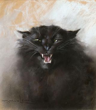 Black Cat