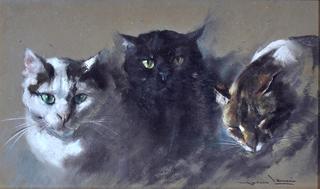 Three Cats