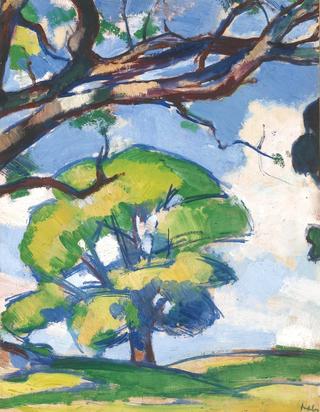 Trees, Douglas Hall