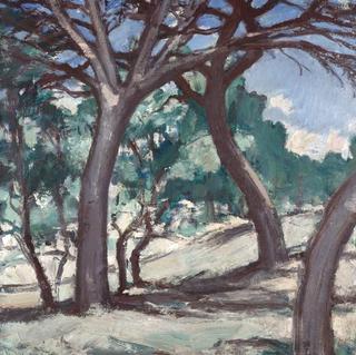 Trees