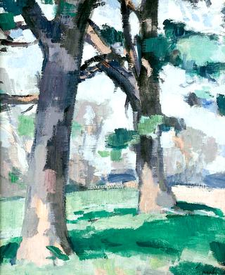 Trees at New Abbey