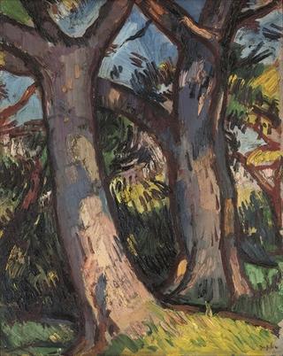Trees at Douglas Hall