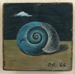 Snail Shell