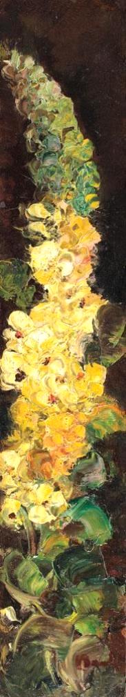 Flower melilot