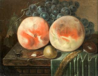 Still Life