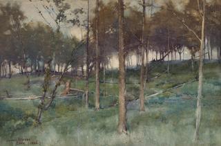 Pinewood - Cove