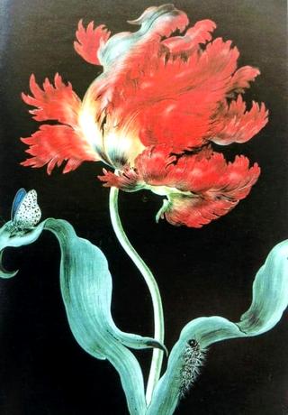 Tulip and butterfly