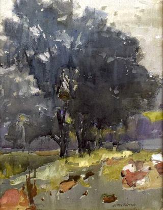 A Wooded Copse