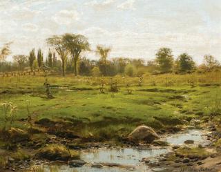 Early Summer