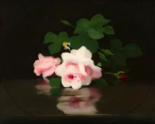 Pink Roses with Reflection