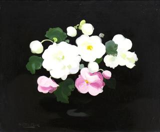 Pink and White Roses