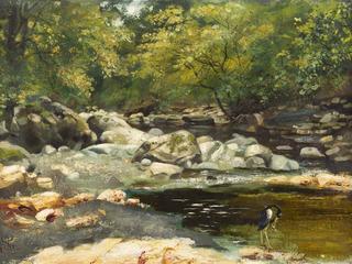 A Bit in Fin Glen