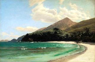 A beach on Saint Thomas, US Virgin Islands